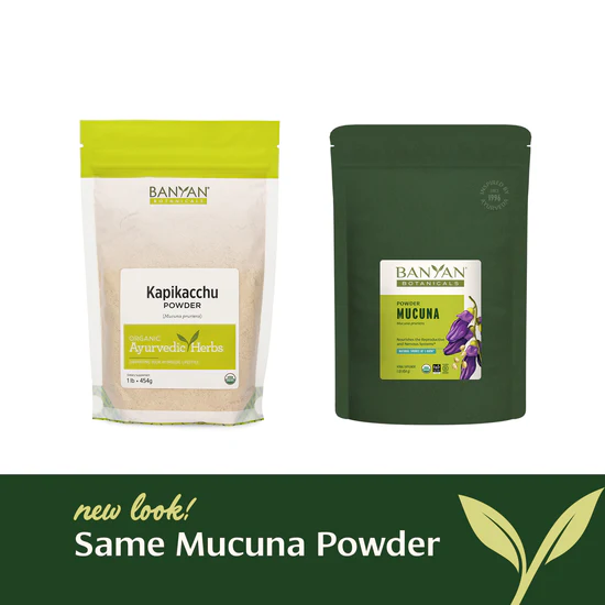 Mucuna (Kapikacchu) powder
