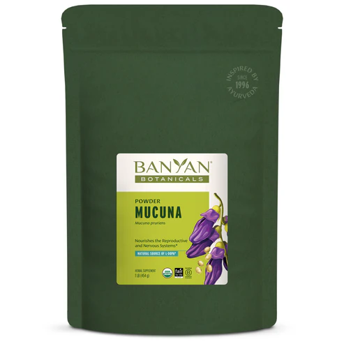Mucuna (Kapikacchu) powder